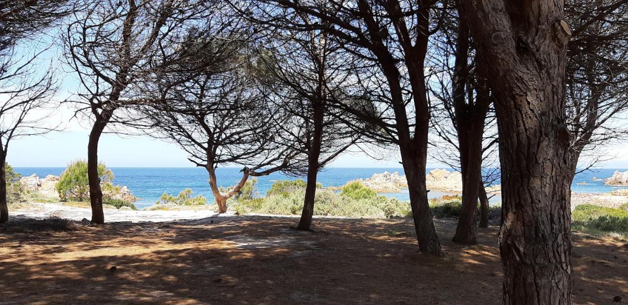 Mare Natura Confort... Il Mio Paradiso In Sardegna Изола Роса Екстериор снимка